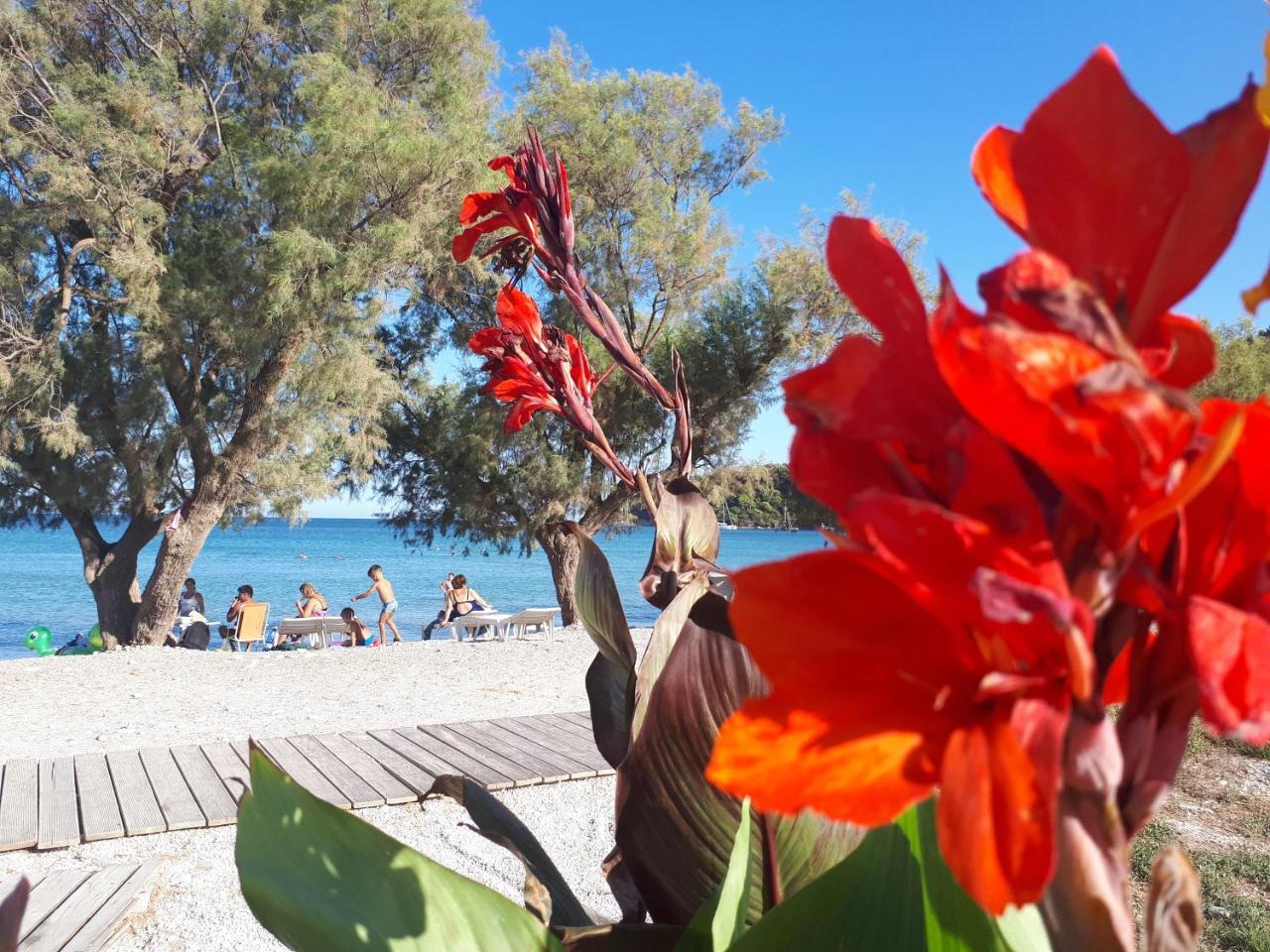 ホテル Zante Dahlia ラガナス エクステリア 写真