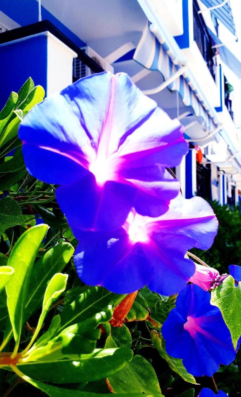 ホテル Zante Dahlia ラガナス エクステリア 写真